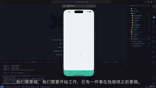 [中字] React Native 美食外卖应用开发实战（中