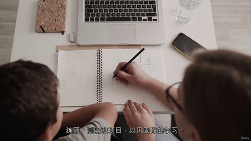 概率论基础：从入门到精通（含实战案例）（中文字幕英文视频教程