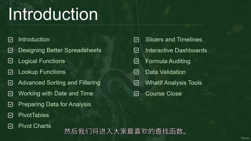 [中字] Excel 交互式仪表盘实战进阶课（中文字幕英文视