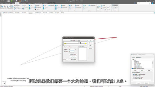 印度结构工程实战课程——ETABS、STAAD与SAP200