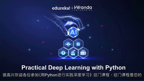 [中字] Python 深度学习实战：从基础到进阶的实践指南