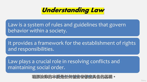 创业者法律必修课——构建稳健企业的法律指南  (中文字幕英文