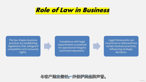 创业者法律必修课——构建稳健企业的法律指南  (中文字幕英文