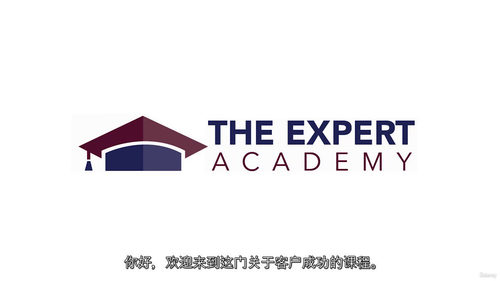销售驱动型客户成功经理实战教程