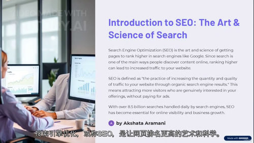 SEO实战精通:引爆网站流量攻略 (中文字幕英文视频教程)