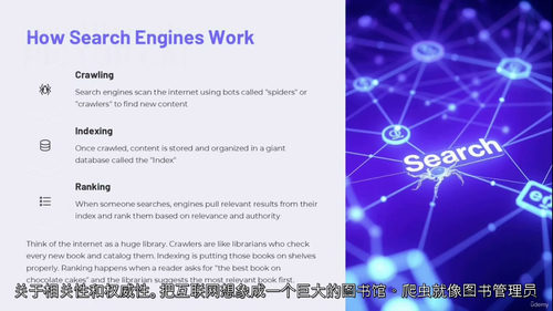 SEO实战精通：引爆网站流量攻略  (中文字幕英文视频教程)