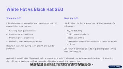 SEO实战精通:引爆网站流量攻略 (中文字幕英文视频教程)