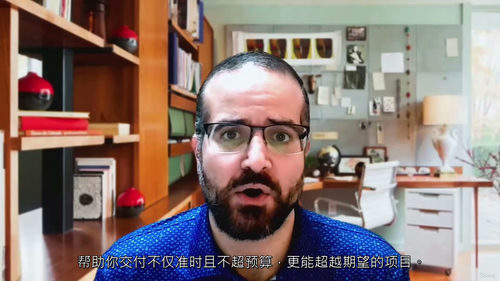 [中字] 项目成效提升指南：陷阱规避与实战落地（中文字幕英文