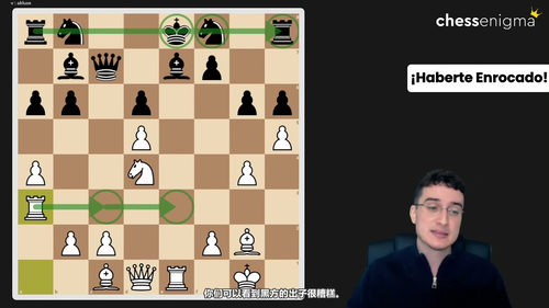 [中文配音]100种国际象棋制胜战术全解