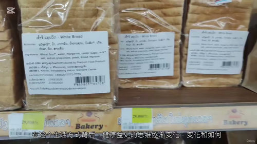 碱性纯素生活实践指南