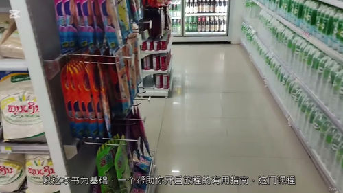 碱性纯素生活实践指南