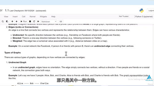 [中字] 现代图论算法及其 Python 实现（2025）（