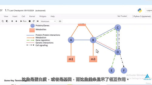[中字] 现代图论算法及其 Python 实现（2025）（
