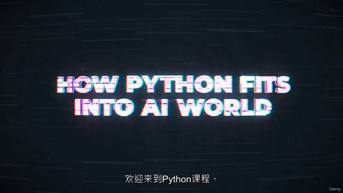 [中字] 全面 Python 进阶教程：从零基础到编程实战（