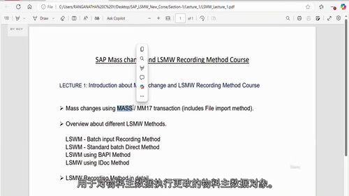 SAP 批量修改与 LSMW 录制方法实战课程（中文字幕英文