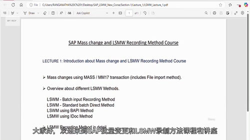 SAP 批量修改与 LSMW 录制方法实战课程（中文字幕英文