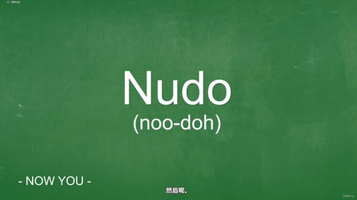 拉丁美洲西班牙语入门课程 (英文课程中文字幕)