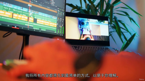 [中字] 达芬奇 Resolve 19 全能实战大师课（20