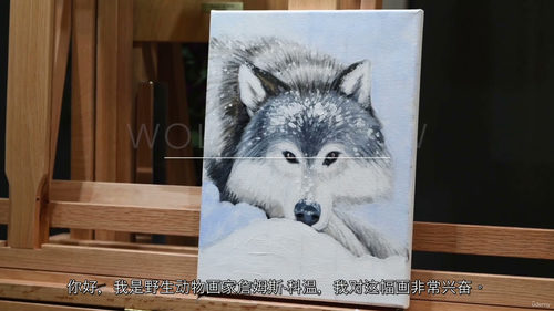 雪地狼绘画分步教程