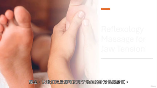 [中字] 认证反射疗法按摩师课程（中文字幕英文视频教程）