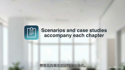 技术项目管理实战精要(2025版) (中文字幕英文视频教程)