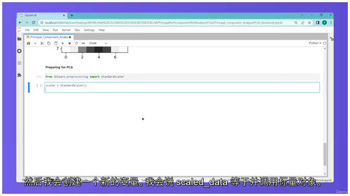 [中字] Python 机器学习与数据科学实战大全（中文字幕