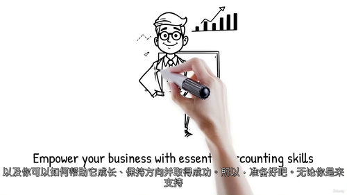 会计入门实战课程