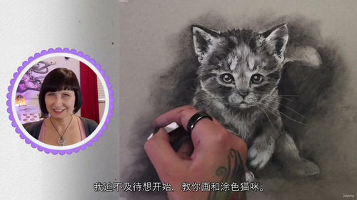 写实猫咪绘画教程