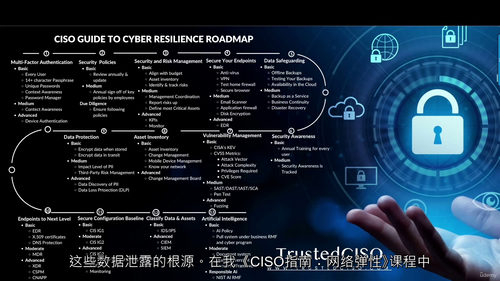 [中字] CISO 网络韧性实战指南（中文字幕英文视频教程）