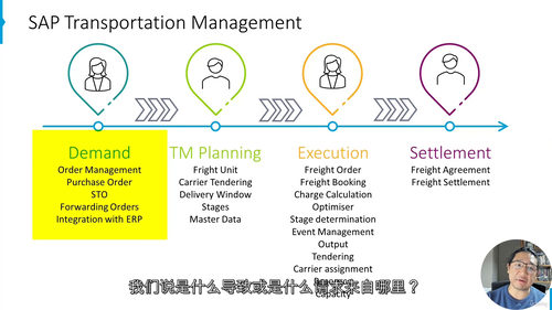 SAP S4HANA 运输优化实战