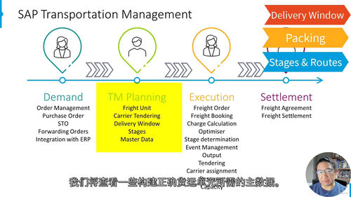 SAP S4HANA 运输优化实战