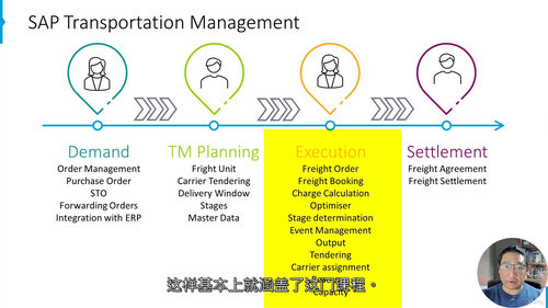 SAP S4HANA 运输优化实战