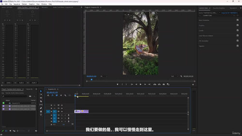 社交媒体视频剪辑实战:Canva、剪映与Premiere Pro (英文中字)