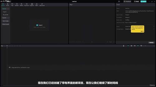 社交媒体视频剪辑实战:Canva、剪映与Premiere Pro (英文中字)