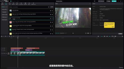 社交媒体视频剪辑实战:Canva、剪映与Premiere Pro (英文中字)
