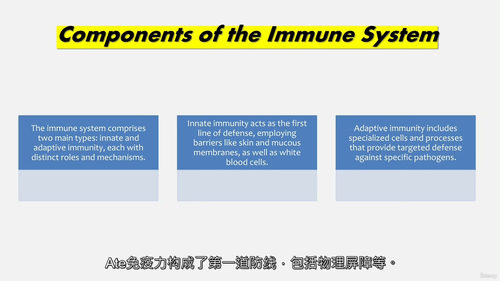 免疫疾病全科视频教程（中英字幕）