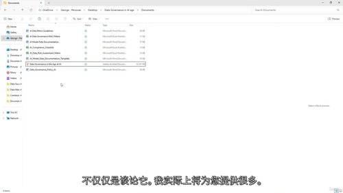 人工智能时代的数据治理课程:解锁数据价值新密码(中文字幕英文