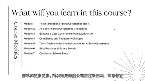 人工智能时代的数据治理课程:解锁数据价值新密码(中文字幕英文