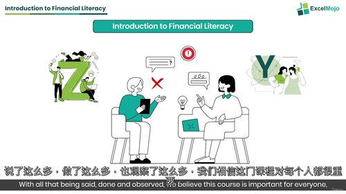 [中字] 个人财务全能精通指南（中文字幕英文视频教程）