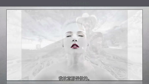 [中字] 创作者工坊：戏剧人像大师班（中文字幕英文视频教程）