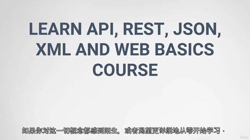 [中字] 从零掌握 API、REST、JSON、XML 与