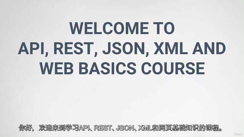 [中字] 从零掌握 API、REST、JSON、XML 与