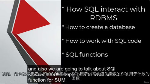 [中字] 2025 从零基础到精通的 SQL 特训营课程（中