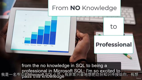 [中字] 2025 从零基础到精通的 SQL 特训营课程（中