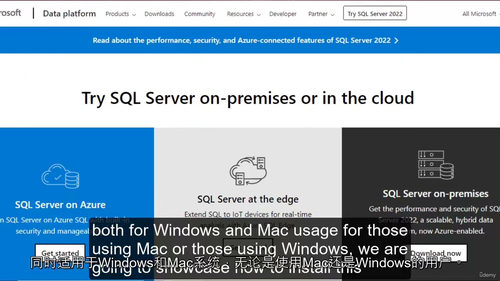 [中字] 2025 从零基础到精通的 SQL 特训营课程（中