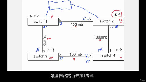 [中字] 诺基亚（7705, SAS）SROS 二层操作与配