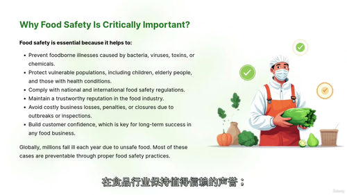 [中字] 全球食品卫生二级培训课程（中文字幕英文视频教程）