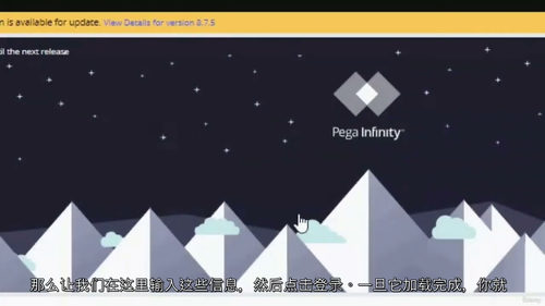 [中字] Pega 实战精通：25 + 项目全代码与案例解析