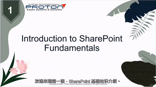 [中字] 精通 SharePoint 生态与 SPFx 开发