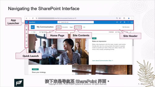 [中字] 精通 SharePoint 生态与 SPFx 开发